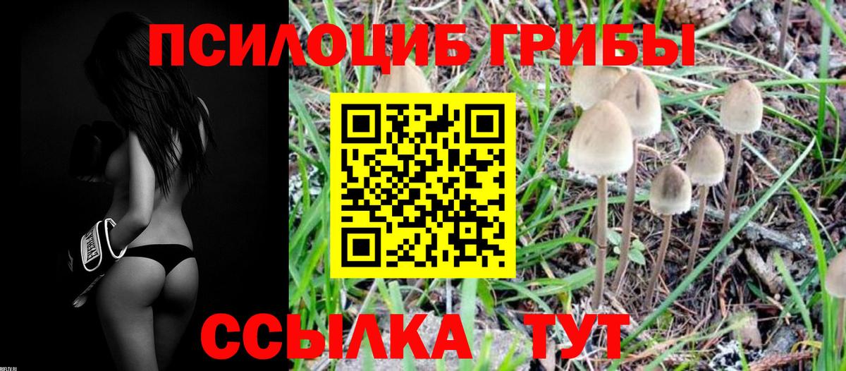Галлюциногенные грибы GOLDEN TEACHER Луховицы